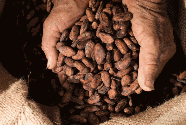 Odoo - Prueba 1 a tres columnas