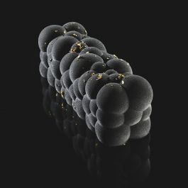 MOLDE SILICONA TORTA PAVOCAKE KE041 ATOMIC