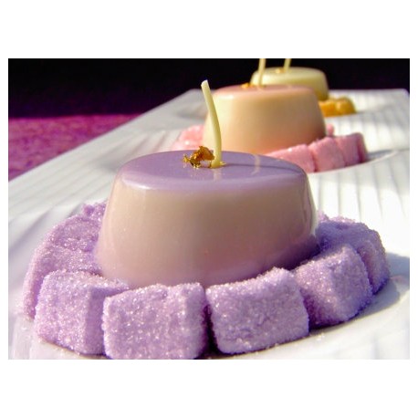 MOLDE SILICONA NEGRO 600x400 PX005