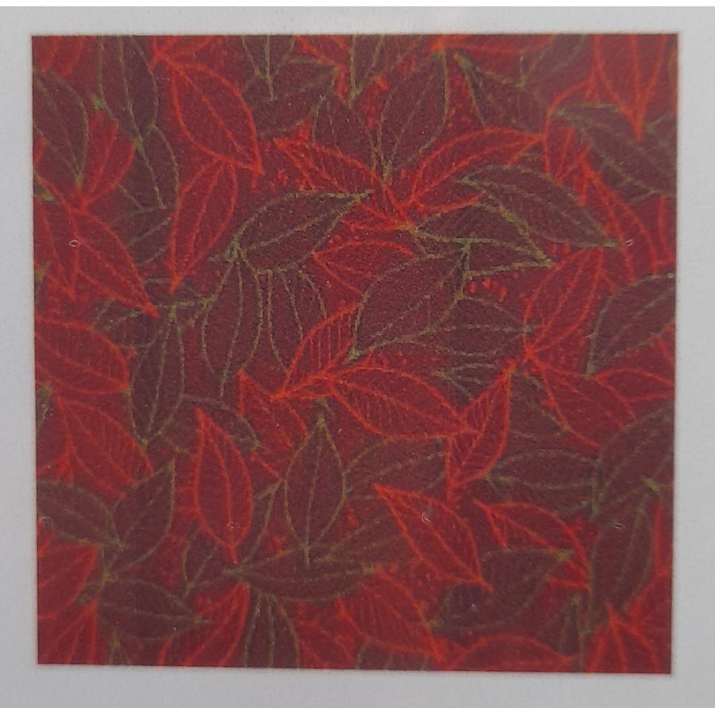 TRANSFER SD201 30 HJS/CJ